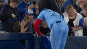 Blue Jays Baseball GIF by Toronto Blue Jays