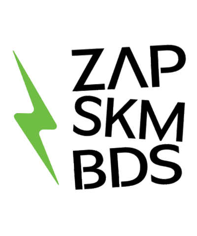 ZapSkimBoards zap skim skimboarding skimboards Sticker