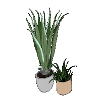 WhiteThisWayHome plants home decor white this way whitethisway Sticker