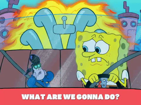 season 8 GIF by SpongeBob SquarePants