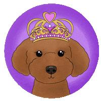 Dogs Wink Sticker