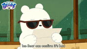 Ice Bear Bears GIF by Cartoon Network