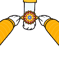 Raksha Bandhan Love Sticker by BoDoggos