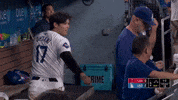 Celebrate Major League Baseball GIF by MLB