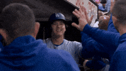Celebrate Major League Baseball GIF by MLB