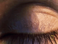 #origins #natgeo #cheatingdeath GIF by National Geographic Channel