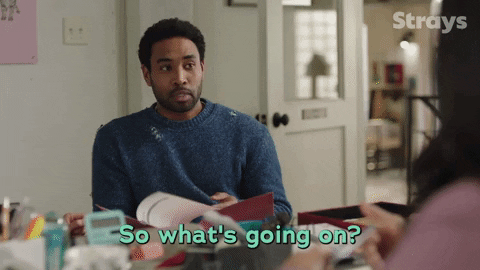 Season 2 Cbc GIF by Strays