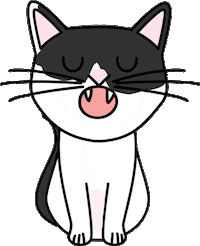 Cat Coco Sticker by Enfermera en apuros