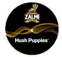 HushPuppiesPK puppies hush peshawar zalmi Sticker