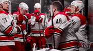 high five ice hockey GIF by NHL