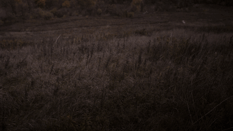 #scifi #syfy #12monkeys GIF by SYFY