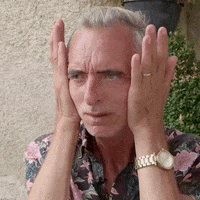 France Lol GIF by SBS6