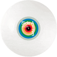 V2Records music vinyl 10 record Sticker