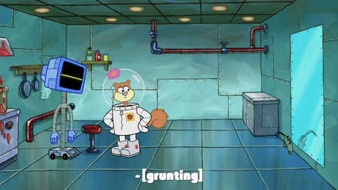 season 9 episode 25 GIF by SpongeBob SquarePants