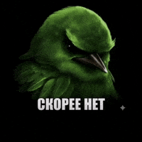 Птица Нет GIF