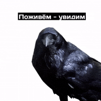 Мем GIF