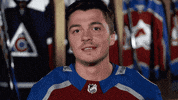 coloradoavalanche sports funny sport nhl GIF