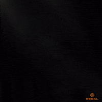 Harry Potter GIF by Regal