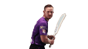 Cricket Bbl Sticker by Hobart Hurricanes