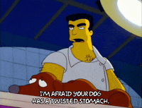 Season 3 GIF by The Simpsons