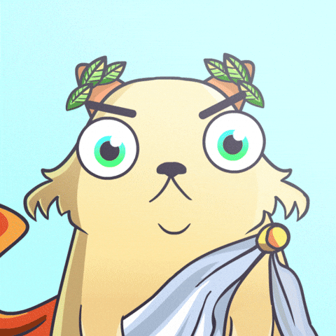 Cat Collage GIF by Flow