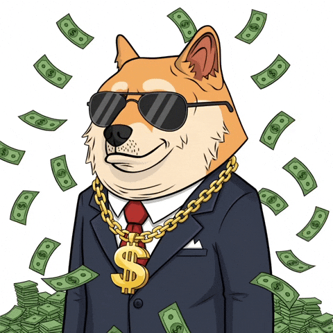 To The Moon Success GIF by Doge Pound