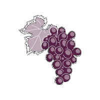 Grape Traube Sticker by Ofa