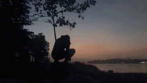 kimberlylai giphyupload GIF