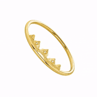 aristocrazy  GIF