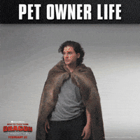 pet cuteness GIF by How To Train Your Dragon