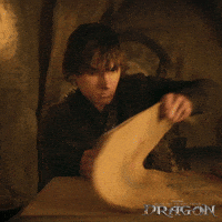 Dragons Dreamworks GIF by How To Train Your Dragon