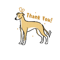 NoodleHorseDoodles thank you thanks grateful thankful Sticker