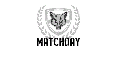 Ff Matchday Sticker by Fichtenfuechse