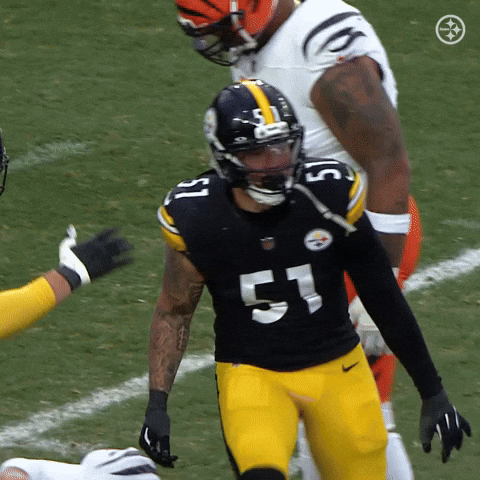 Excited Celebration GIF by Pittsburgh Steelers