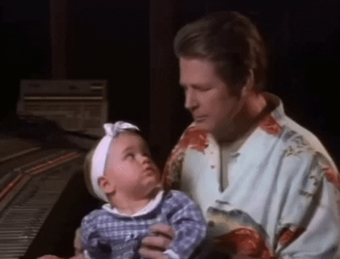 The Beach Boys GIF