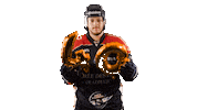 Celebration Goal Sticker by Les Ducs d'Angers