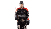 Celebration Goal Sticker by Les Ducs d'Angers