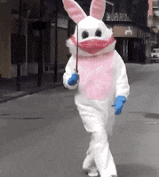 New Orleans Louisiana GIF
