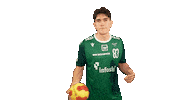 RimparerWoelfe ball handball wolf skills Sticker