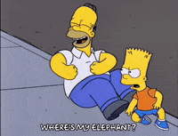 homer simpson GIF