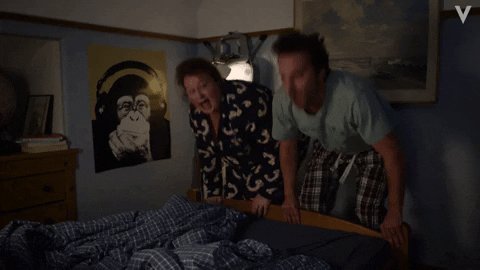 GIF by Videoland