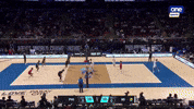 World Championship Volleyball GIF