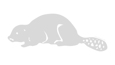 USask_Engineering giphyupload engineering engineer beaver Sticker