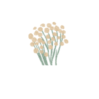 Flowers Flor Sticker by Zona E Home