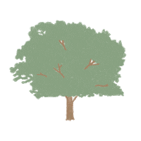 Apple Tree Sticker by Zona E Home