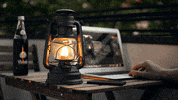 summer nights GIF
