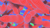 loop colors GIF by Doze Studio