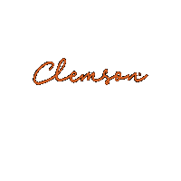 Go Tigers Sticker by Tigertown Graphics