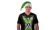 Sport Instagram Sticker by VfL Wolfsburg