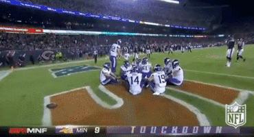 Minnesota Vikings Football GIF by NFL
